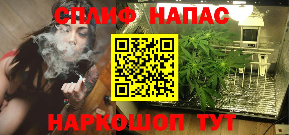 Бошки Шишки THC 21%  Бошки марихуана White Widow  Вход с VPN  Кемерово  Конопля ГИДРОПОН 